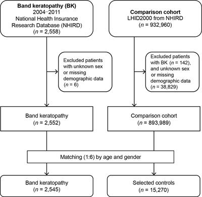 <mark class="highlighted">Sociodemographic Factors</mark> and Comorbidities Including Hyperparathyroidism Are Associated With an Increased Risk of Band Keratopathy: A Population-Based Study in Taiwan